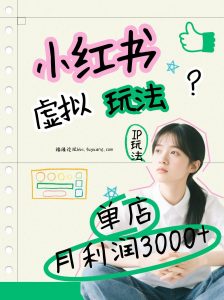 小红书虚拟玩法(铺货流和单品玩法)，单店月利润3000+，IP打法+原创商品(0违规)-网创资源站