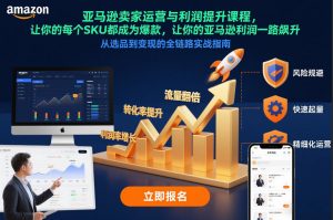 亚马逊卖家运营与利润提升课程，让你的每个SKU都成为爆款，让你的亚马逊利润一路飙升(更新12月)-网创资源站