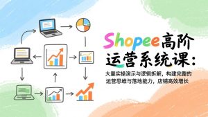 Shopee高阶运营系统课：大量实操演示与逻辑拆解，构建完整的运营思维与落地能力，店铺高效增长-网创资源站