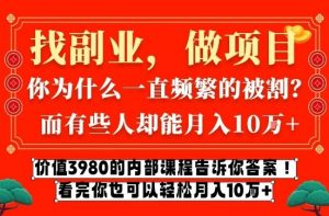 价值3980的网创内部课程，告诉你互联网创业月入10个W的秘密【揭秘】-网创资源站