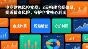 电商财税风控实战：3天构建合规体系，规避稽查风险，守护企业核心利润-网创资源站