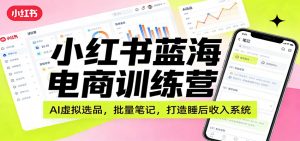 小红书蓝海电商训练营：AI虚拟选品，批量笔记，打造睡后收入系统-网创资源站