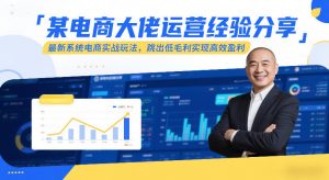 某电商大佬运营经验分享，最新系统电商实战玩法，跳出低毛利实现高效盈利-网创资源站