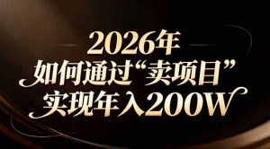 站在2026年的十字路口：一个普通人如何通过卖项目实现年入200万-网创资源站