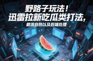 野路子玩法！迅雷拉新吃瓜类打法，截流自热以及后端处理-网创资源站