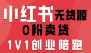小红书无货源0粉电商课，开店准备、选品策略、笔记撰写、视频剪辑、数据分析、账号打造、资料文档(更新26年2月)-网创资源站