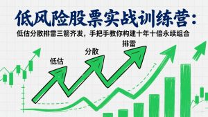 低风险股票实战训练营：低估分散排雷三箭齐发，手把手教你构建十年十倍永续组合-网创资源站