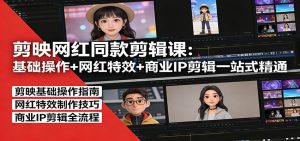 剪映网红同款剪辑：基础操作+网红特效+商业IP剪辑一站式精通-网创资源站