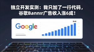 付费文章：独立开发实测：我只加了一行代码，谷歌Banner广告收入涨6成！-网创资源站