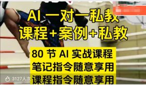 AI指令实战课，课程+案例，80节AI实战课程，笔记指令随意享用，课程指令随意享用(更新26年3月)-网创资源站