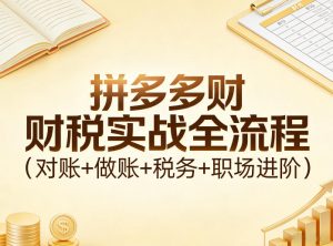 拼多多财税实战全流程(对账+做账+税务+职场进阶)-网创资源站