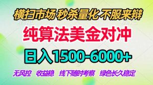 2026美金掘金新风口-纯算法对冲震撼上线！日入1500-6000+，长久合规稳健，轻松摆脱死工资-网创资源站