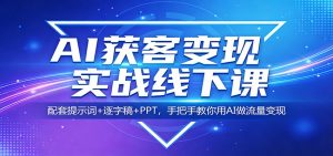 AI获客变现实战线下课：配套提示词+逐字稿+PPT，手把手教你用AI做流量变现-网创资源站