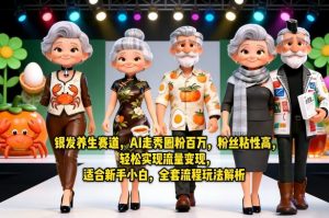 银发养生赛道，AI走秀圈粉百万，粉丝粘性高，轻松实现流量变现，适合新手小白，全套流程玩法解析-网创资源站