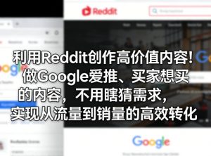 利用Reddit创作高价值内容！做Google爱推、买家想买的内容，不用瞎猜需求，实现从流量到销量的高效转化-网创资源站