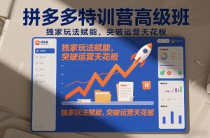 拼多多特训营高阶班，独家玩法赋能，突破运营天花板(更新26年3月27日)-网创资源站