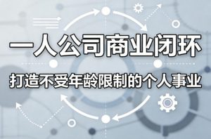 一人公司商业闭环，打造一份不受年龄限制的个人事业-网创资源站