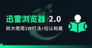 迅雷浏览器项目2.0_拆个大佬周1W的打法-网创资源站