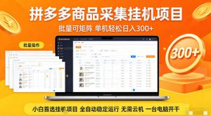 拼多多商品信息全自动采集项目,批量可矩阵,单机轻松日入300+,无需云机一台电脑开干【揭秘】-网创资源站