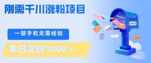 刚需千川涨粉项目，一部手机无需技术，单日变现1k+，当天做当天见收益【揭秘】-网创资源站
