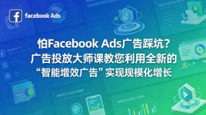 怕Facebook Ads广告踩坑？广告投放大师课教您利用全新的“智能增效广告”实现规模化增长【原创双语字幕】-网创资源站
