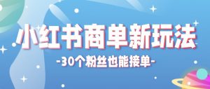 合新手小白操作的小红书商单新玩法，低粉丝也能接单，一个月接三单赚了150+！-网创资源站