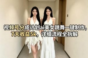视频号分成计划ai美女跳舞一键制作，7天收益5k，详细流程全拆解-网创资源站