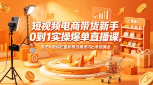 短视频电商带货新手0到1实操爆单直播课，手把手教你短视频带货爆技巧出单搞佣金-网创资源站