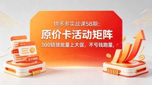 拼多多实战课58期：原价卡活动矩阵，300链接批量上大促，不亏钱跑量-网创资源站