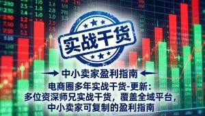 电商圈多年实战干货-更新5月10：多位资深师兄实战干货/覆盖全域平台，中小卖家可复制的盈利指南-网创资源站