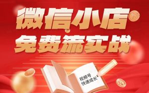 微信小店免费流实战,有货源无货源双模式,从开店到爆单全实操课,小白也能月入1W+-网创资源站
