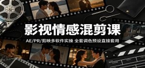 影视情感混剪课：AE/PR/剪映多软件实操，全套调色预设直接套用-网创资源站