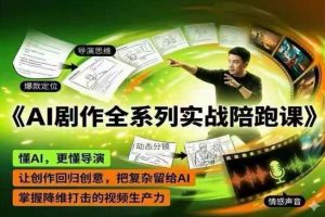 AI剧作全系列实战陪跑课，懂AI，更懂导演，让创作回归创意，把复杂留给AI，掌握降维打击的视频生产力-网创资源站