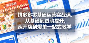 拼多多零基础运营实战课，从基础到进阶提升，从开店到爆单一站式教学-网创资源站