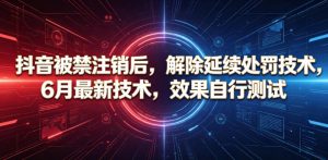 抖音被禁注销后，解除延续处罚技术，6月最新技术，效果自行测试-网创资源站