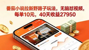 番茄小说拉新野路子玩法，无脑怼视频，每单10元，40天收益27950-网创资源站