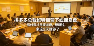 拼多多总裁班特训营下线课复盘,强付费才是硬道理,想賺钱,来这2天就够了-网创资源站