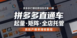 拼多多打爆班原创技术第60期,拼多多直通车,起量・矩阵・全店托管,高投产爆单增收教程-网创资源站