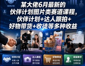 某大佬6月最新的伙伴计划图片类赛道课程，伙伴计划+达人跟拍+好物带货+收徒等多种收益-网创资源站