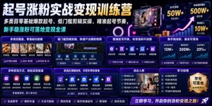 苗子起号涨粉实战变现训练营,多类目零基础爆款起号、精准起号节奏、新手稳涨粉可落地变现全课-网创资源站