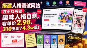 搭建人格测试网站在小红书做趣味人格自测，客单价2.98，310天卖了4.3w单！-网创资源站