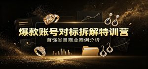 爆款账号对标拆解特训营：首饰类目商业案例分析，配套完整资料内容-网创资源站