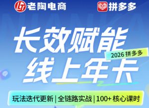 拼多多线上SVIP线上年卡,从认知到基础、从推广到活动、从活动到玩法,全链路实战(260730)-网创资源站