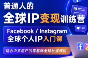 建立海外社媒底层逻辑,打造能变现的个人IP-网创资源站