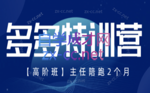纪主任·拼多多特训营(更新8月)-网创资源站