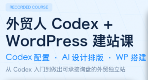 大卫·外贸人Codex + WordPress建站课(更新8月)-网创资源站