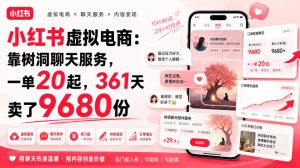 小红书虚拟电商:靠树洞聊天服务,一单20起,361天卖了9680份-网创资源站