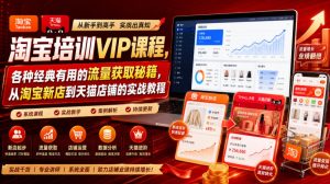 淘宝培训VIP课程,各种经典有用的流量获取秘籍,从淘宝新店到天猫店铺的实战教程(更新08月12日)-网创资源站