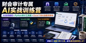 财会审计专属AI实战训练营|AI协同编程+Python审计工具箱+Excel VBA加载项落地(更新0816)-网创资源站