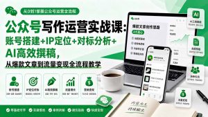 公众号写作运营实战课：账号搭建+IP定位+对标分析+AI高效撰稿，从爆款文章到流量变现全流程教学-网创资源站